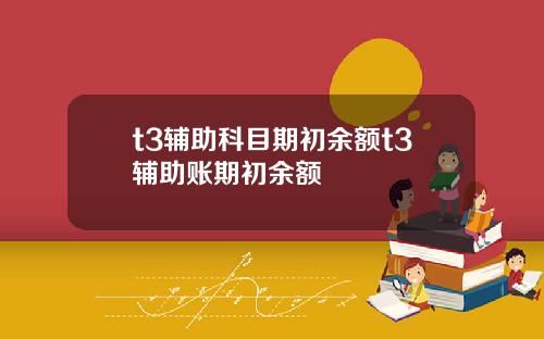 t3辅助科目期初余额t3辅助账期初余额