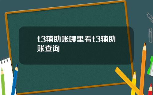 t3辅助账哪里看t3辅助账查询