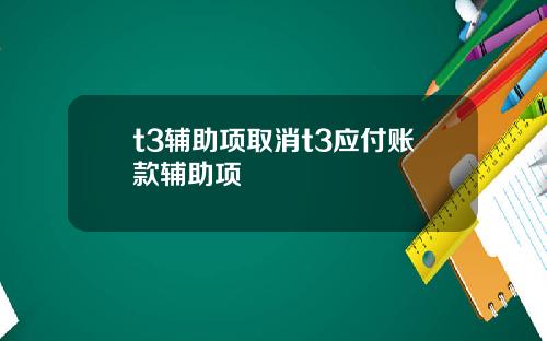 t3辅助项取消t3应付账款辅助项