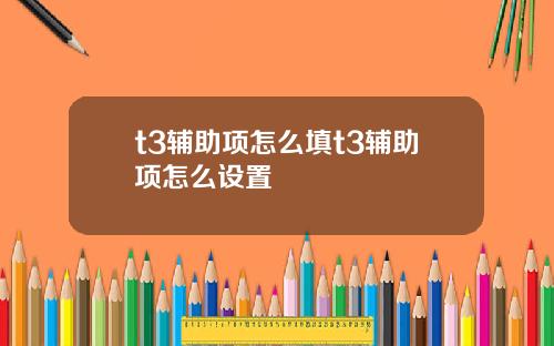 t3辅助项怎么填t3辅助项怎么设置