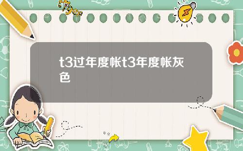 t3过年度帐t3年度帐灰色