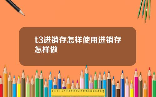 t3进销存怎样使用进销存怎样做
