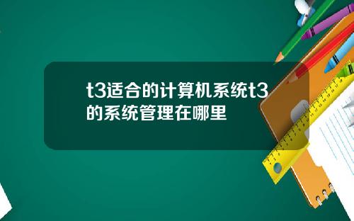 t3适合的计算机系统t3的系统管理在哪里