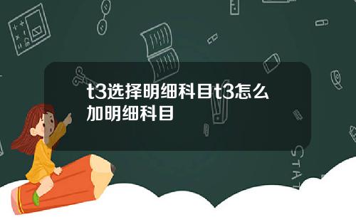 t3选择明细科目t3怎么加明细科目