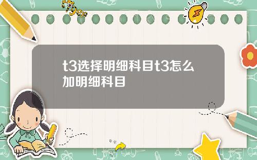 t3选择明细科目t3怎么加明细科目