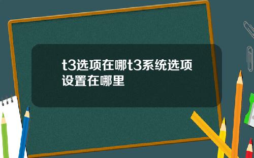 t3选项在哪t3系统选项设置在哪里