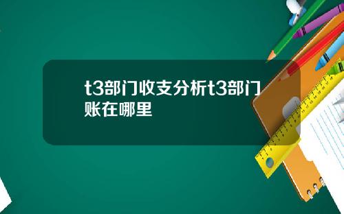 t3部门收支分析t3部门账在哪里