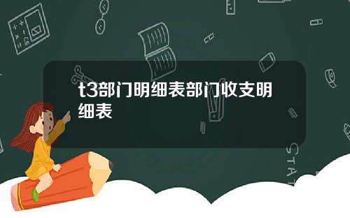 t3部门明细表部门收支明细表