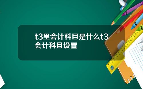 t3里会计科目是什么t3会计科目设置