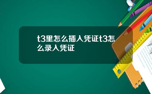 t3里怎么插入凭证t3怎么录入凭证