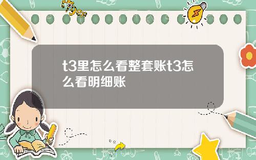 t3里怎么看整套账t3怎么看明细账