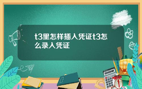 t3里怎样插入凭证t3怎么录入凭证