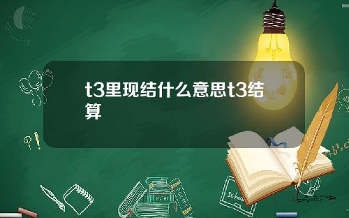 t3里现结什么意思t3结算