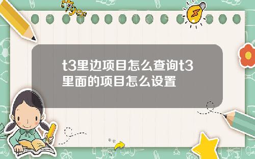 t3里边项目怎么查询t3里面的项目怎么设置