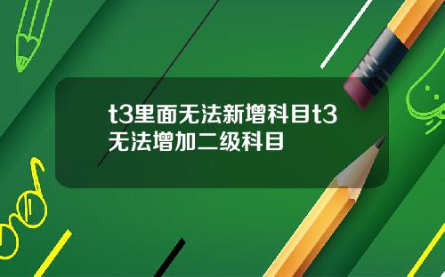 t3里面无法新增科目t3无法增加二级科目