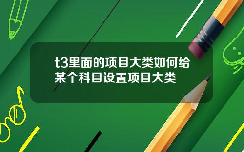 t3里面的项目大类如何给某个科目设置项目大类