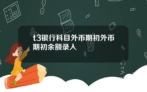 t3银行科目外币期初外币期初余额录入