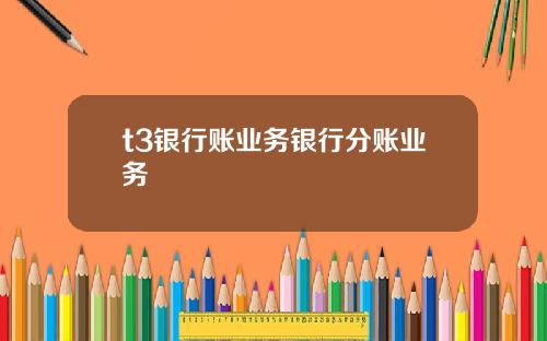 t3银行账业务银行分账业务