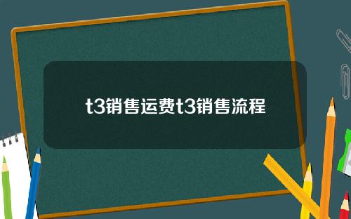 t3销售运费t3销售流程