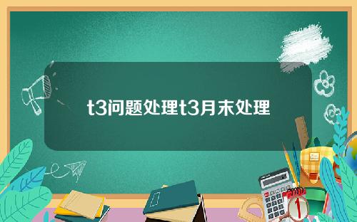 t3问题处理t3月末处理