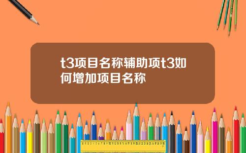 t3项目名称辅助项t3如何增加项目名称