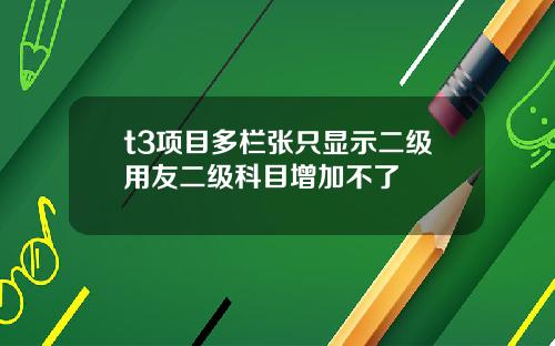 t3项目多栏张只显示二级用友二级科目增加不了