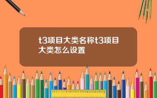 t3项目大类名称t3项目大类怎么设置