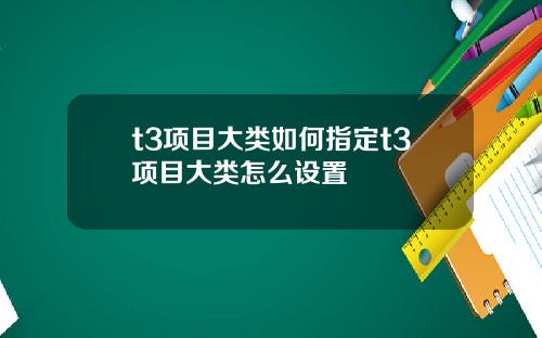 t3项目大类如何指定t3项目大类怎么设置