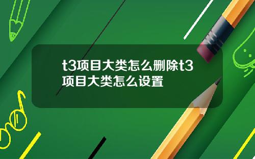t3项目大类怎么删除t3项目大类怎么设置