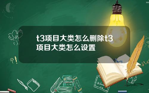 t3项目大类怎么删除t3项目大类怎么设置
