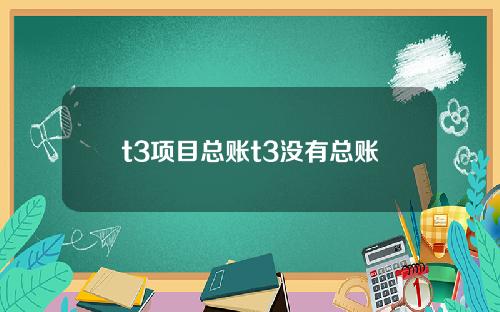 t3项目总账t3没有总账