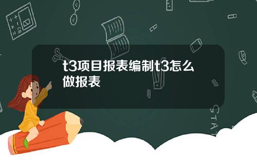 t3项目报表编制t3怎么做报表