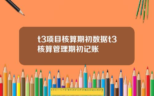 t3项目核算期初数据t3核算管理期初记账