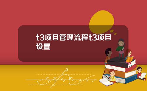 t3项目管理流程t3项目设置