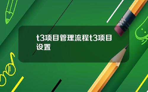 t3项目管理流程t3项目设置