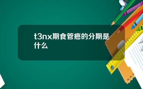 t3nx期食管癌的分期是什么