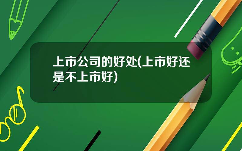 上市公司的好处(上市好还是不上市好)