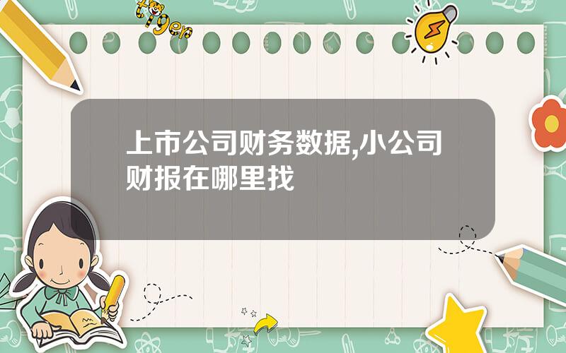 上市公司财务数据,小公司财报在哪里找