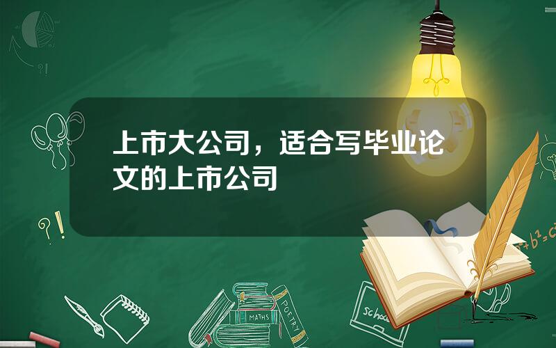 上市大公司，适合写毕业论文的上市公司