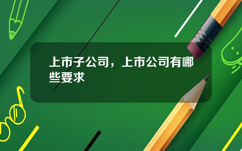 上市子公司，上市公司有哪些要求