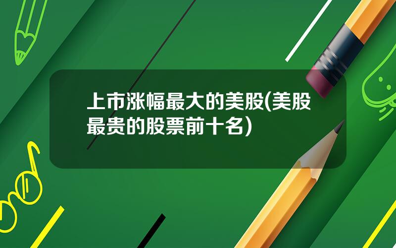 上市涨幅最大的美股(美股最贵的股票前十名)