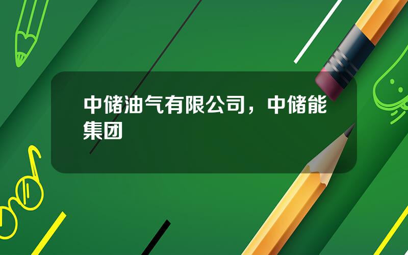 中储油气有限公司，中储能集团