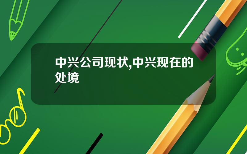 中兴公司现状,中兴现在的处境