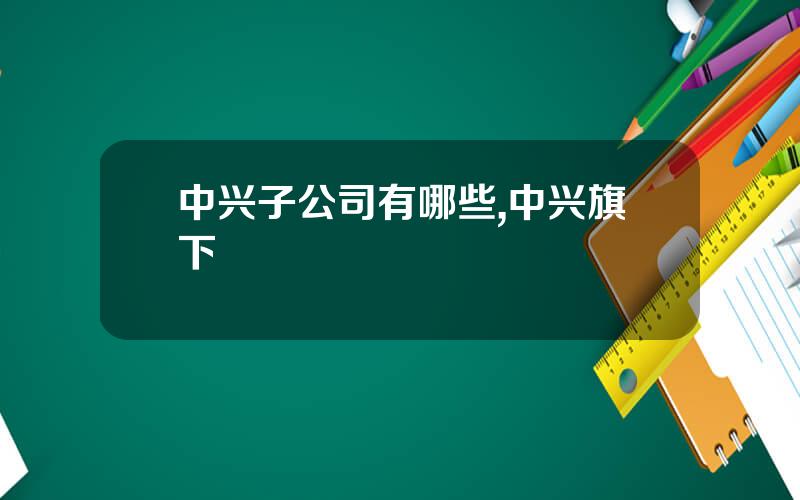 中兴子公司有哪些,中兴旗下