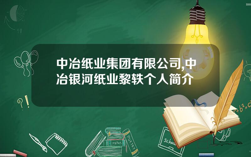 中冶纸业集团有限公司,中冶银河纸业黎轶个人简介