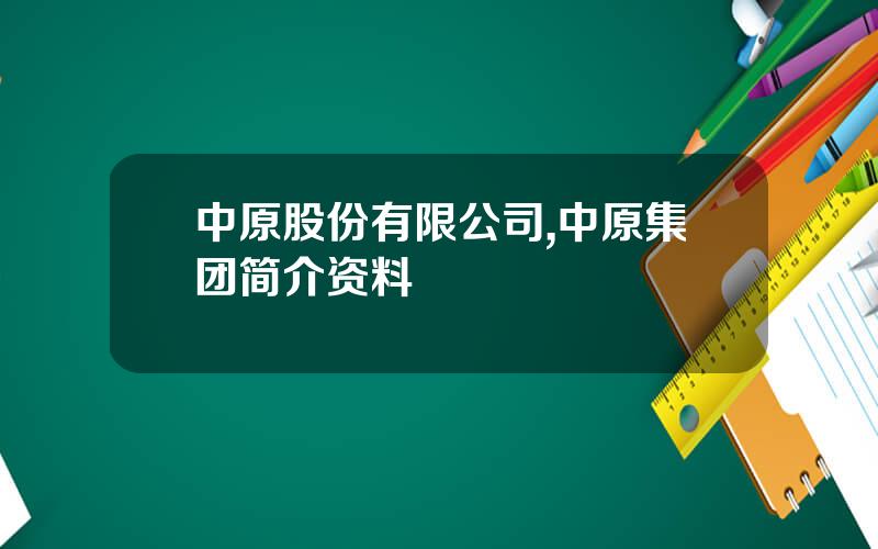 中原股份有限公司,中原集团简介资料