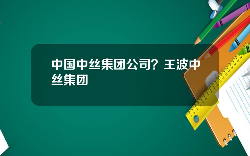中国中丝集团公司？王波中丝集团