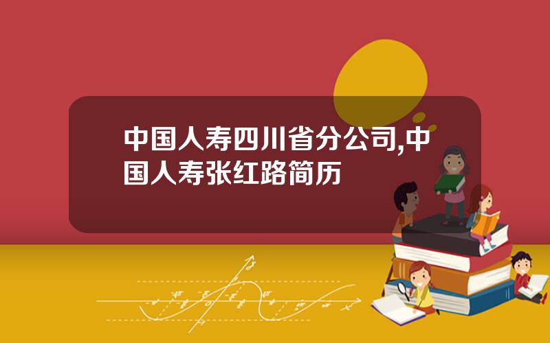 中国人寿四川省分公司,中国人寿张红路简历