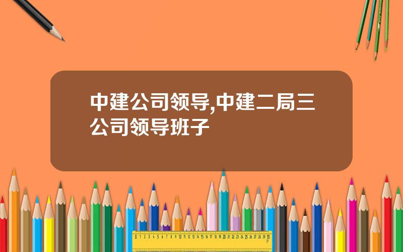 中建公司领导,中建二局三公司领导班子