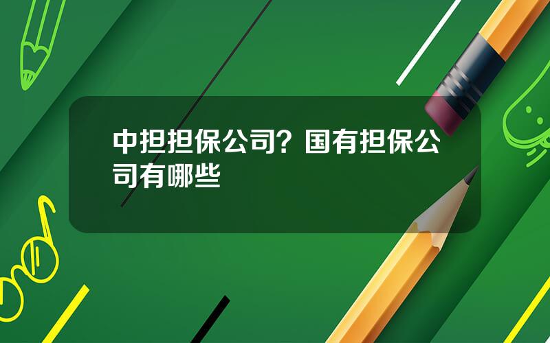 中担担保公司？国有担保公司有哪些